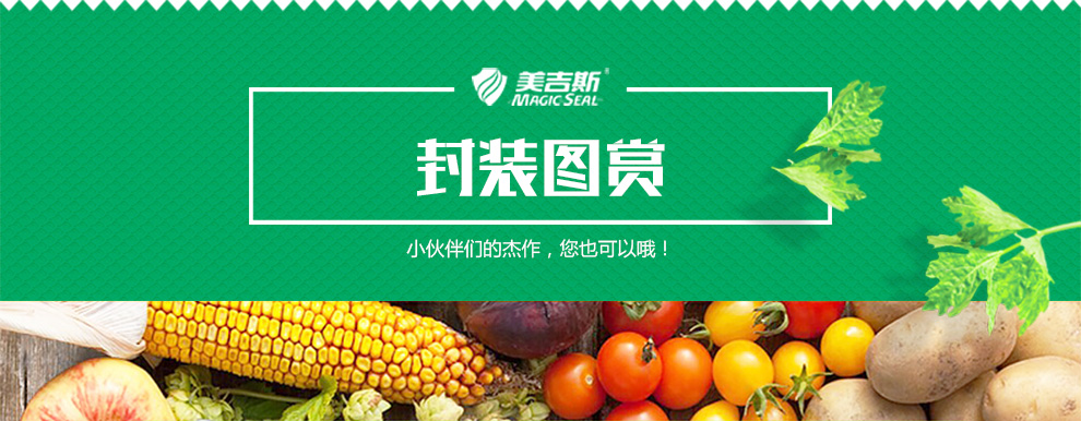 
                                                                                美吉斯（MAGIC SEAL） 美吉斯MS1160立式全自动真空包装机食品保鲜机小型家用                