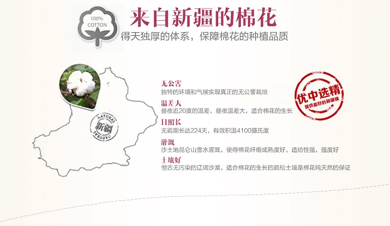 绿幽谷欧式田园全棉沙发垫套装提花坐垫四季通用沙发垫子沙发套罩巾 紫色水木清华 单条90*180cm