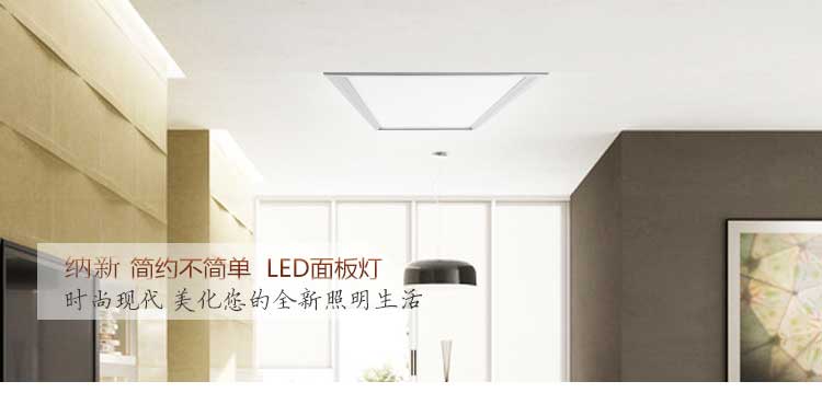 纳新 LED面板灯饰 嵌入悬挂吸顶灯 正白光 22W NX-D3060-24-E1