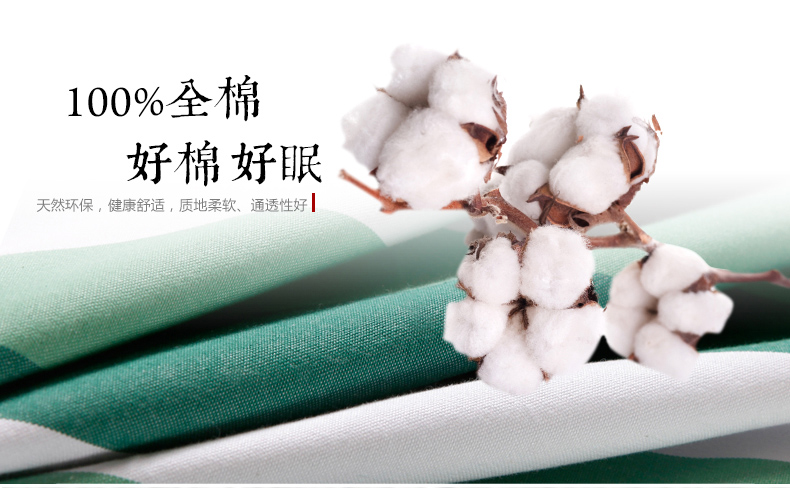 
                                        美棉坊 床单单件纯棉色织条纹老粗布 1.5床/1.8床230*250 眺望-初夏 适用1.8床 2.5*2.5m (送枕套1对)                