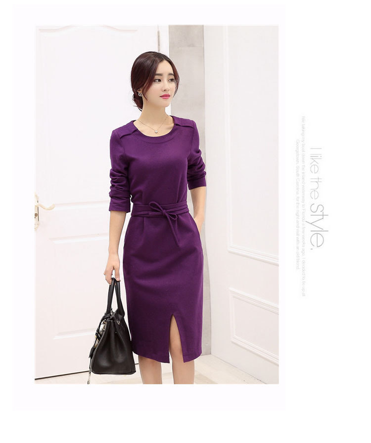 莱瑞丽 2015秋冬女装装新款长袖毛呢连衣裙 9051 图片色 M
