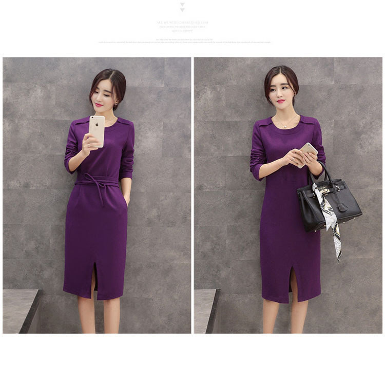 莱瑞丽 2015秋冬女装装新款长袖毛呢连衣裙 9051 图片色 M