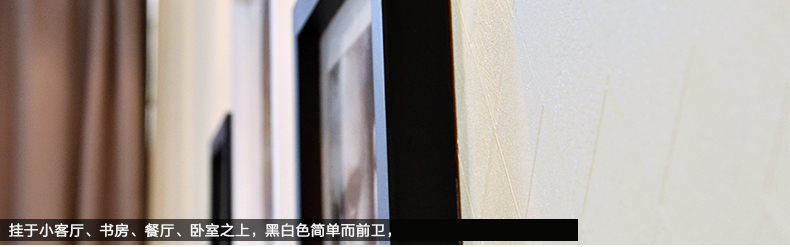 
                                        梦雅莉 实木照片墙 11框 家居饰品 相框墙相片墙创意组合HD-011 白原胡灵动混搭(送灵动画芯)                