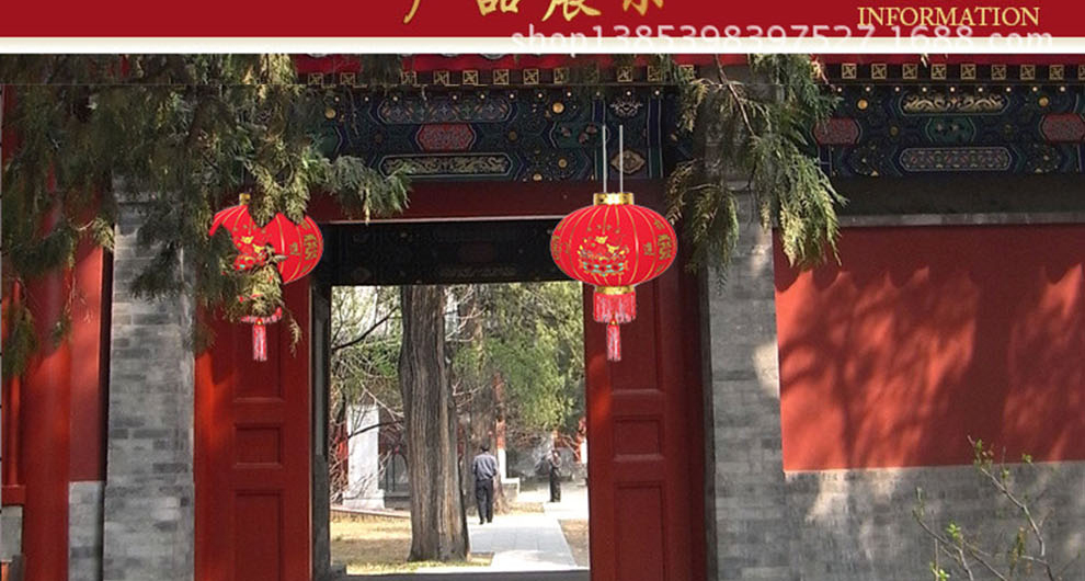 爱度ks 春节喜庆年货装饰国庆过年元旦装饰挂件 植绒灯笼 创意宫灯 恭喜发财灯笼60# 灯笼单个装