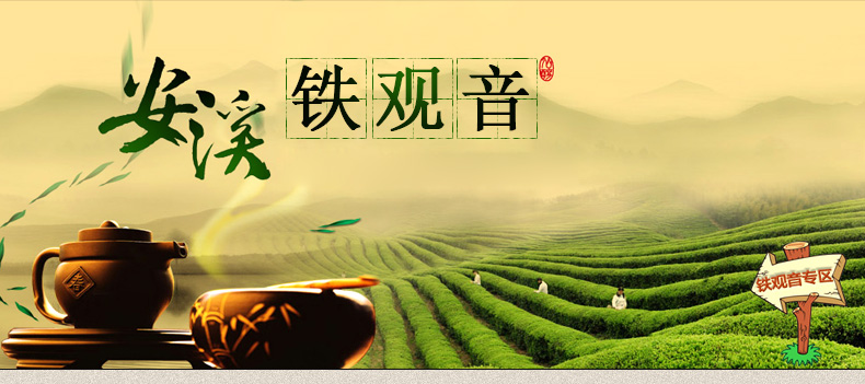 传奇会铁观音 2017年新茶乌龙茶 安溪铁观音清香型茶叶散装袋装500g