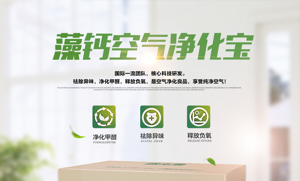 格林·森特 藻钙装修除甲醛空气净化宝 300g*4袋/箱 新房装修家具去除甲醛苯油漆味
