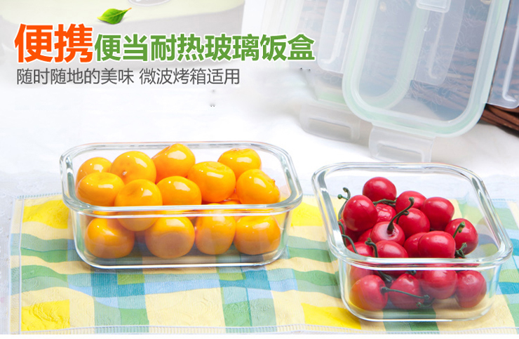 泰福高(TAFUCO)饭盒微波炉玻璃便当饭盒密封储物盒2件套装可微波 T-7507