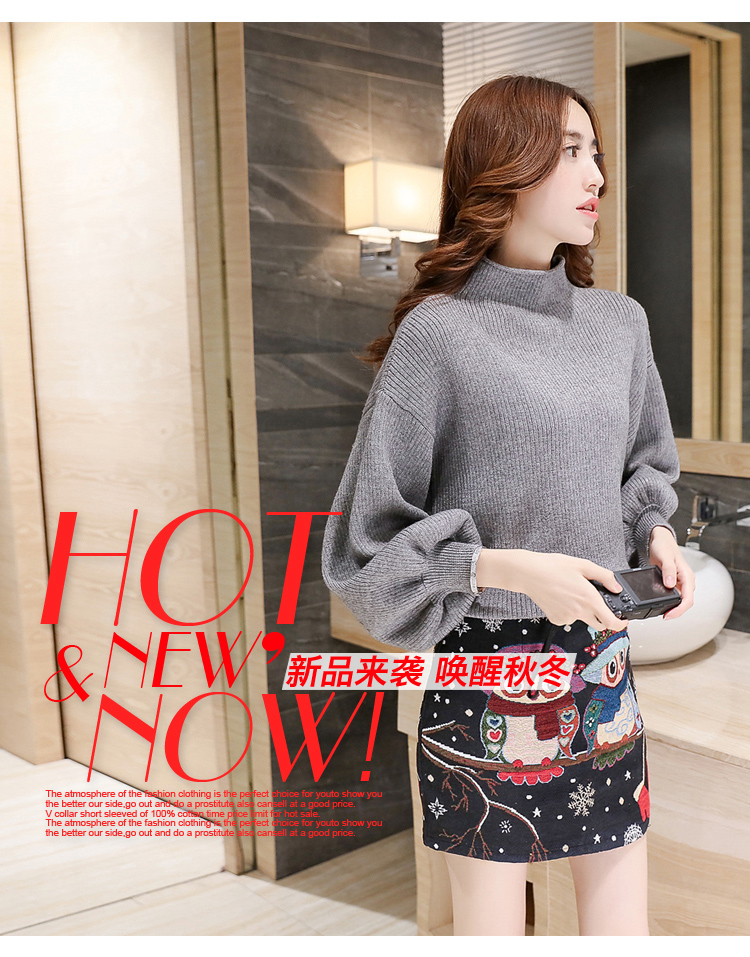 衣典零一 2015秋冬装新款女装韩版时尚宽松灯笼袖短款半高领套头针织衫毛衣 灰色 均码