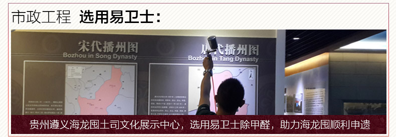 
                                        易卫士 德国进口除甲醛清除剂 去除甲醛喷剂 新房室内装修净化空气家具除味 一套(1瓶喷雾+4支雾化剂)                