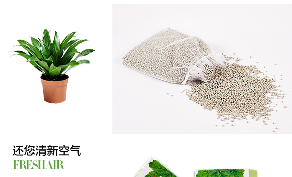 格林·森特 藻钙汽车除甲醛去味800g 汽车除味专用车用空气清新 新车净化去味除甲醛