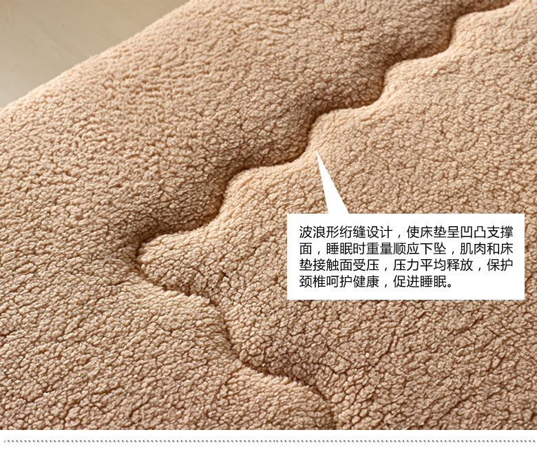 
                                        暖舒馨床垫法兰绒 羊羔绒保暖榻榻米床褥加大双人款床褥子 床垫子  秋冬超柔加厚型 白色(羊羔绒) 180cm*200cm                