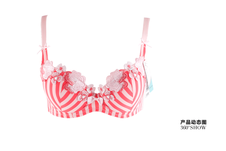 芬怡内衣专柜正品 中厚杯/薄杯聚拢刺锈蕾丝文胸 冬日