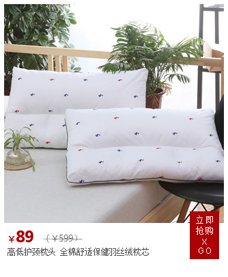 
                                        
                                        大话色彩家纺 防滑可折叠加厚羽绒床垫 单人双人鸭绒超厚保暖暖羽毛床垫床褥 鸭毛褥子床上用品 白鸭绒床垫 90*190cm                
