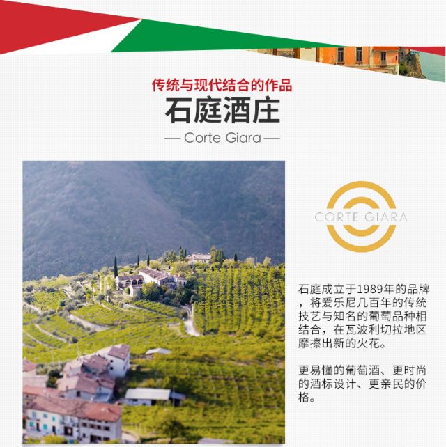 阿玛罗尼Amarone 意大利DOCG级进口红酒 石