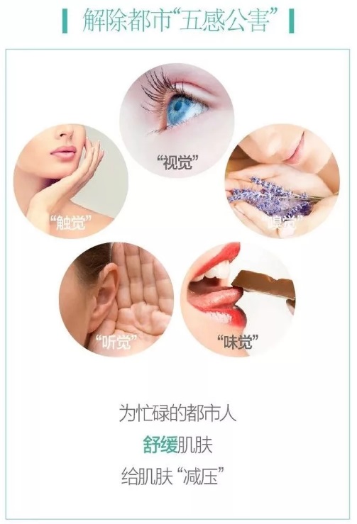 上海维娜化妆品阿尔卑斯纯净清洁霜200ml去黑头卸妆膏维娜官方网旗舰 维娜纯净清洁霜