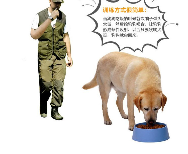 训狗教程