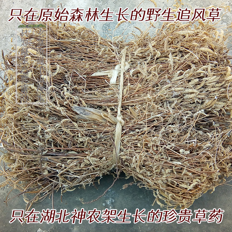 神农架追风草药材生孩子坐月子熏洗泡脚风气腰腿疼湿