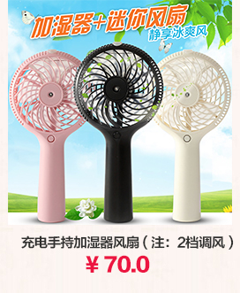 迷你小型USB充电小风扇加湿器 手持便携式办