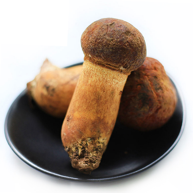 萌兴新鲜黄牛肝菌 500g 云南野生菌食用菌新鲜蔬菜