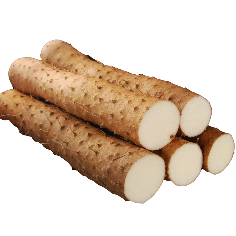 密园小农  密云山药 500g 新鲜采摘