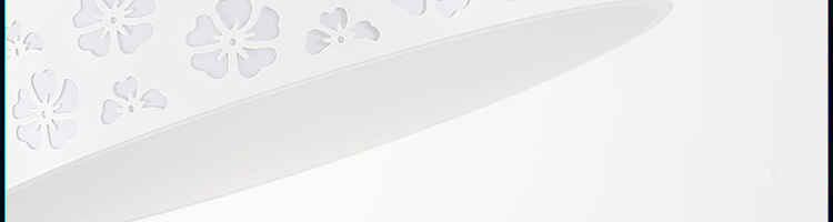 帝帛灯饰 简约LED铝材亚克力吸顶灯卧室灯过道灯具房间灯圆形灯 ZS8706黄光 600*600*110mm