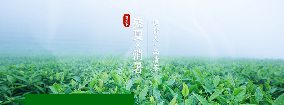 贵天下 遵义红茶叶发酵茶贵州高原红茶特级五