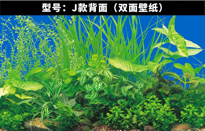 水族箱鱼缸背景纸画高清图3d立体图贴纸鱼缸壁纸贴画装饰画 60高102长