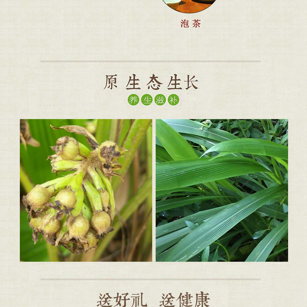 林芝源 中药材野生仙茅 独脚仙矛 仙茅根独茅根地棕根