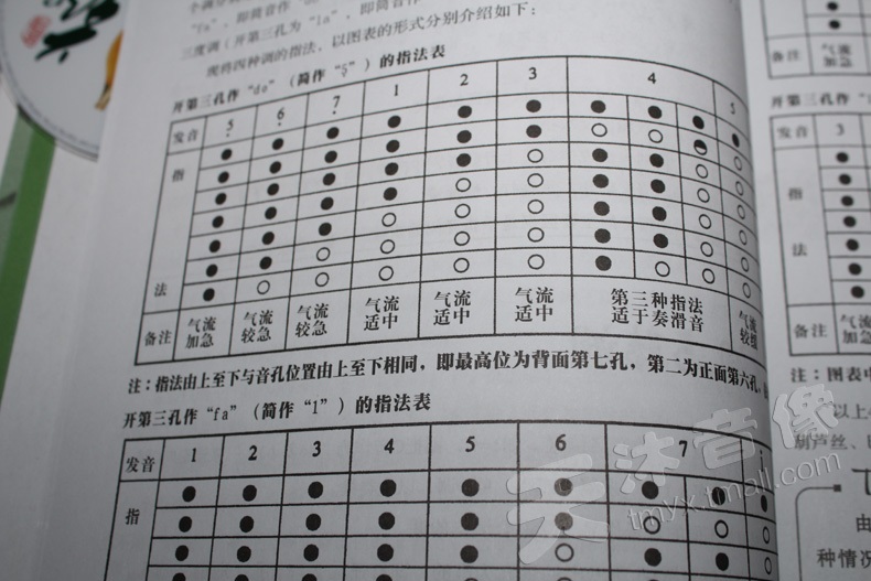 葫芦丝初级基础初学入门教学视频教程简谱乐曲谱教材书籍dvd光盘