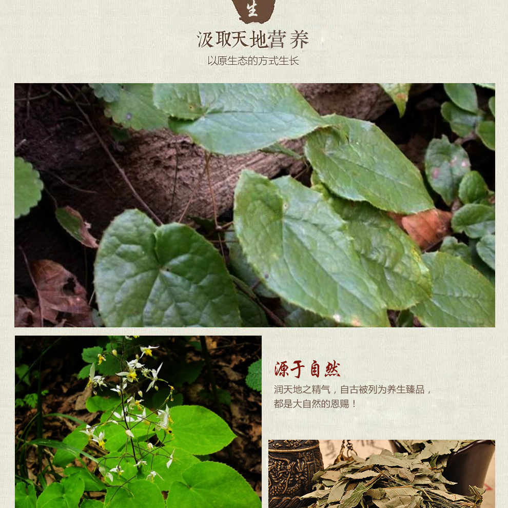 淫羊藿叶粉泡茶泡酒药材淫叶羊藿泡酒料仙灵脾搭配肉苁蓉锁阳 淫羊藿