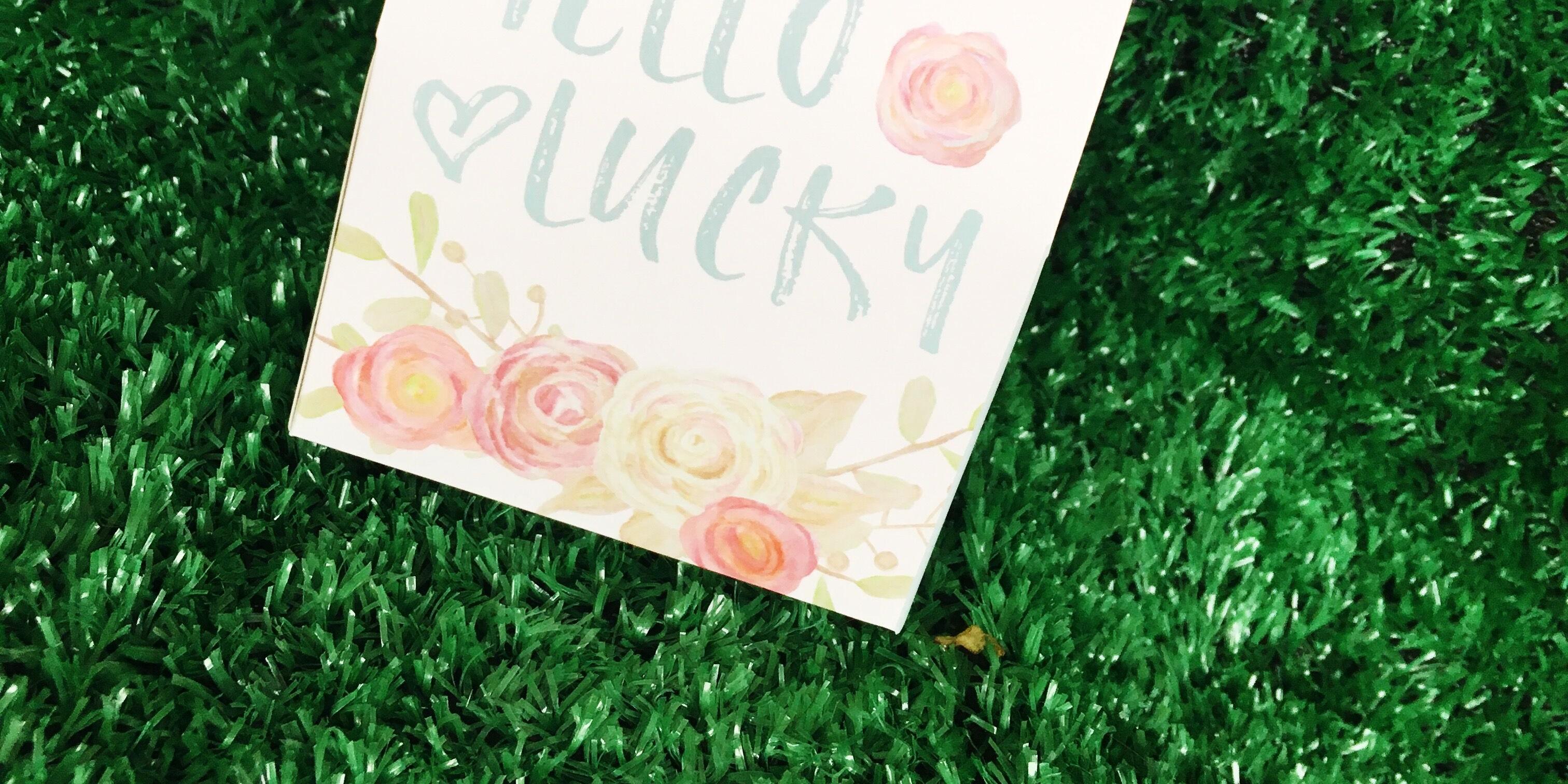 小清新好运|幸运草小清新,盆景盆栽