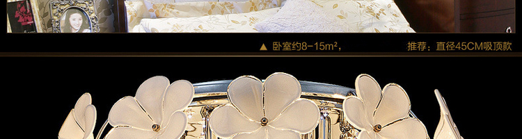 帝帛灯饰 欧式LED水晶吊灯客厅灯现代简约客厅水晶灯卧室灯灯具餐厅灯饰 DB8707LED贴片白光 600*320mm