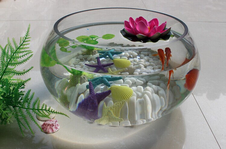 鑫业 碗莲 花盆睡莲盆水仙花盆水仙盆 铜钱草水培花卉