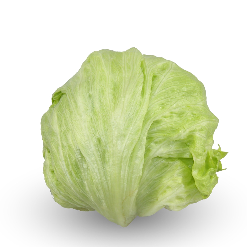 小汤山 结球生菜 约350g 自营蔬菜