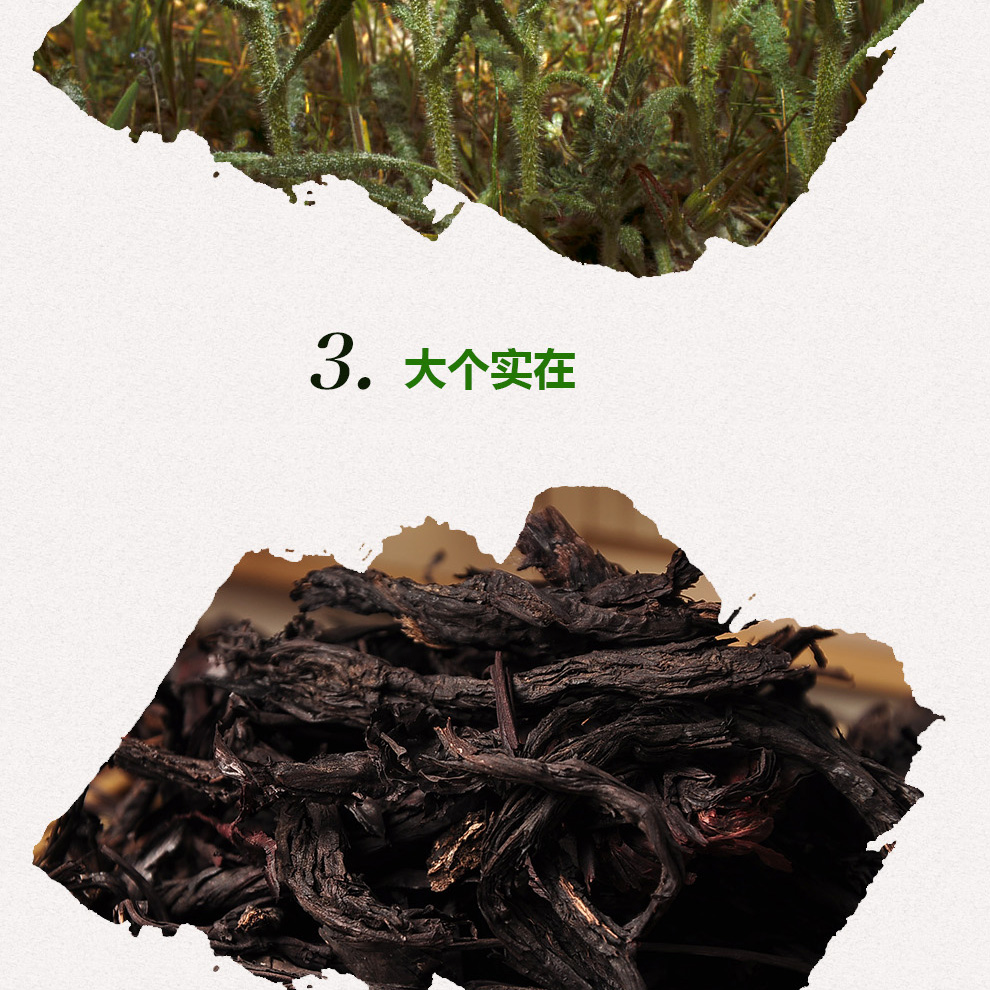 紫草 硬紫草 大紫草 红条紫草