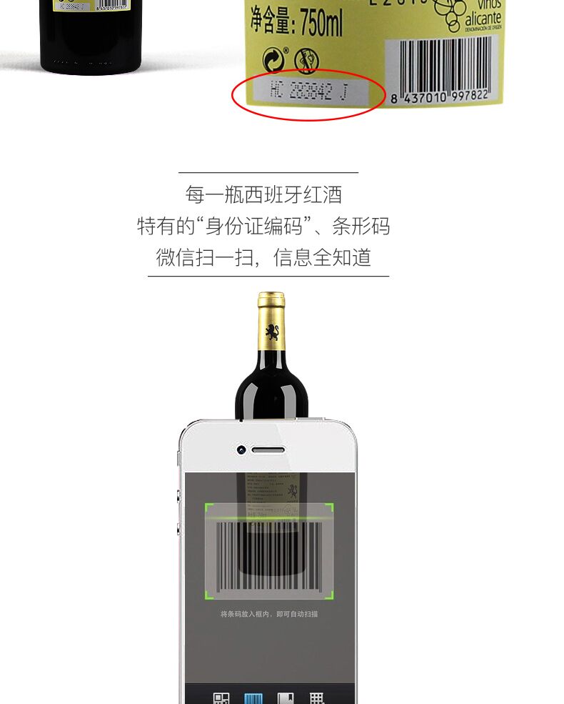 红酒进口红酒 西班牙原瓶进口14度梅鹿辄干红