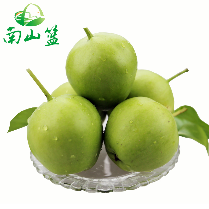 【南山蓝】陕西早酥梨 现摘新鲜水果 5斤装