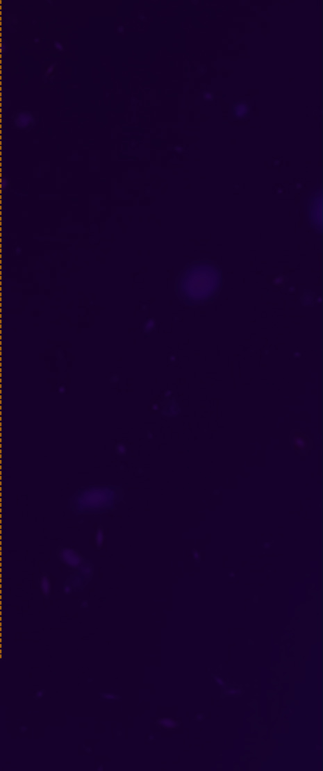 微软上海专营店