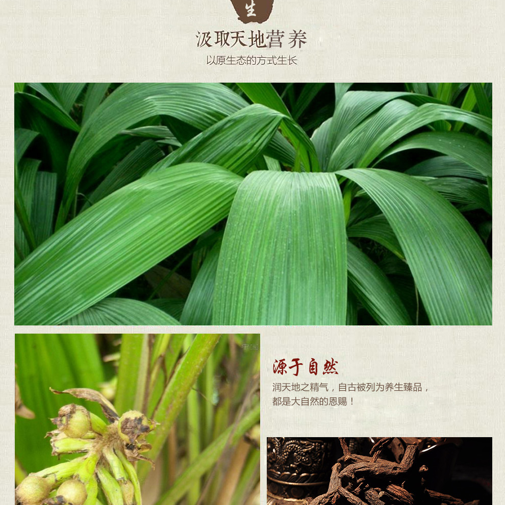 仙茅根独脚仙矛仙茅根独茅根地棕根茅爪子仙矛 仙茅250g