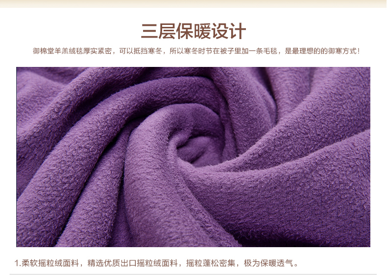 
                                        【御棉堂】双层羊羔绒毛毯 秋冬加厚盖毯 办公室午休毯 懒人毯 紫色 100cm*130cm办公午睡                