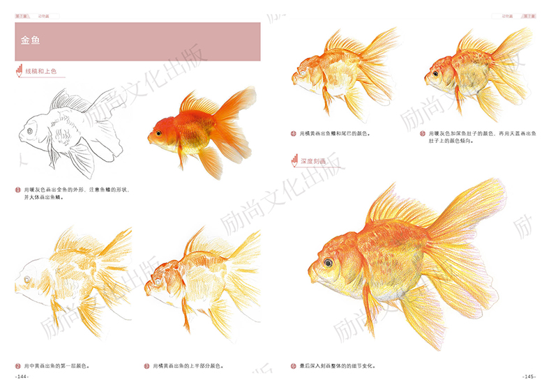 彩铅基础教程 零基础从入门到精通 彩色铅笔画自学教程彩铅画教程绘画