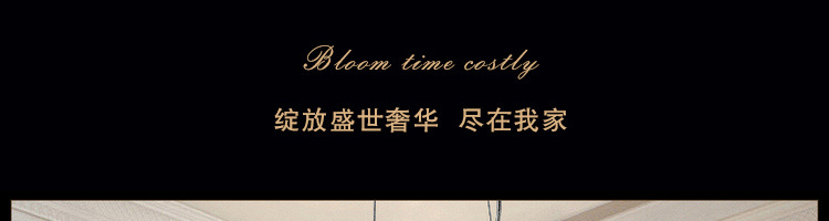 帝帛灯饰 欧式LED水晶吊灯客厅灯现代简约客厅水晶灯卧室灯灯具餐厅灯饰 DB8707LED贴片白光 600*320mm