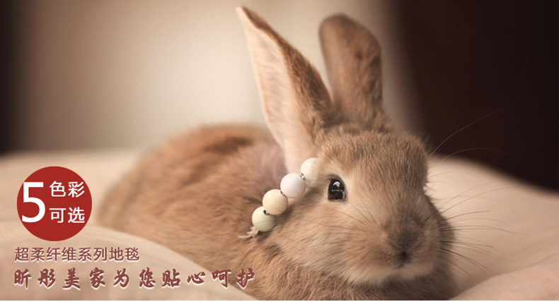 
                                        昕彤美家 地毯 丝毛绒加厚防滑可机洗 慢回弹超细纤维吸水 绿色 120*160cm                