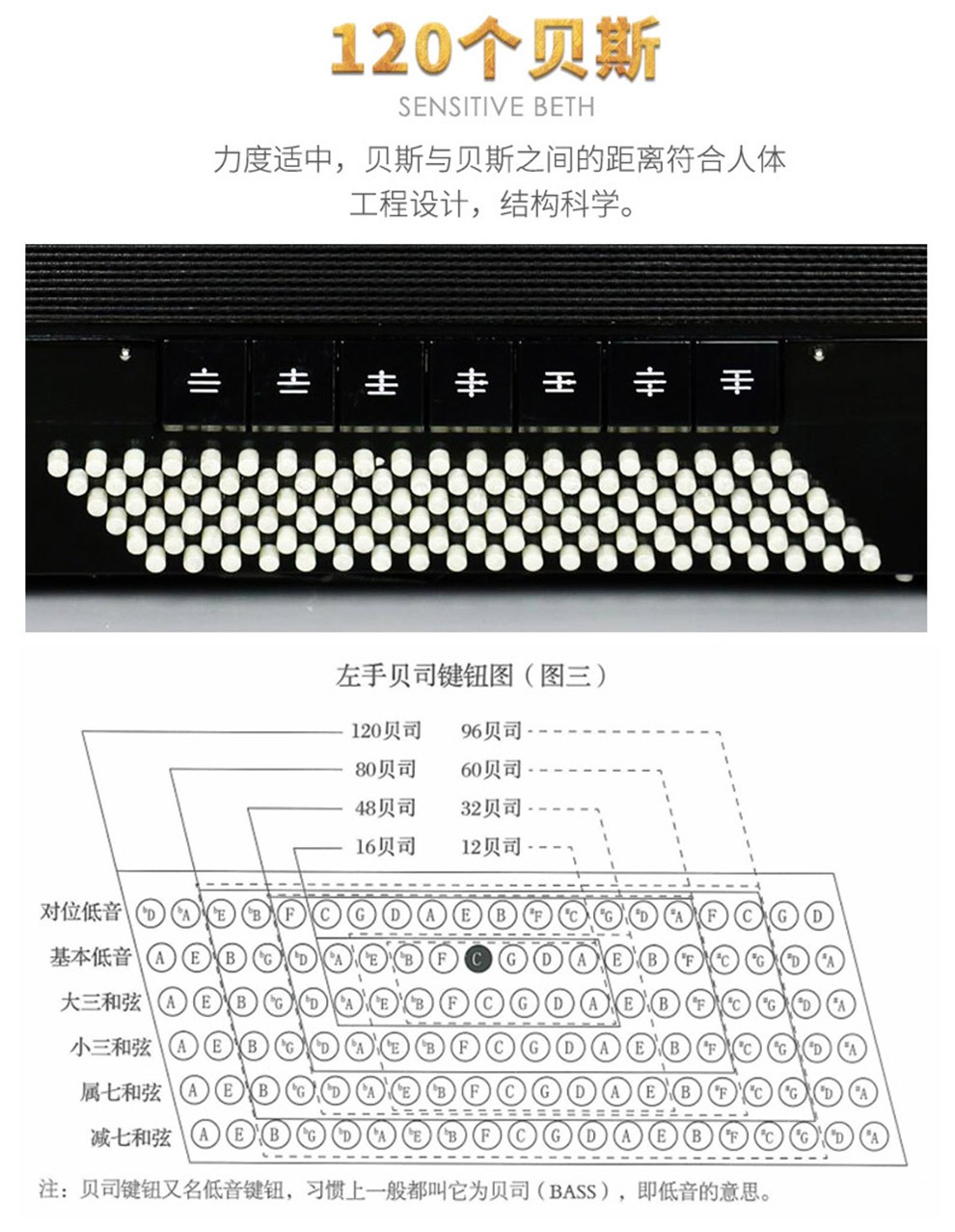 鹦鹉(yingwu) 鹦鹉手风琴考级演奏初学手风琴60/96/120贝斯三四排簧