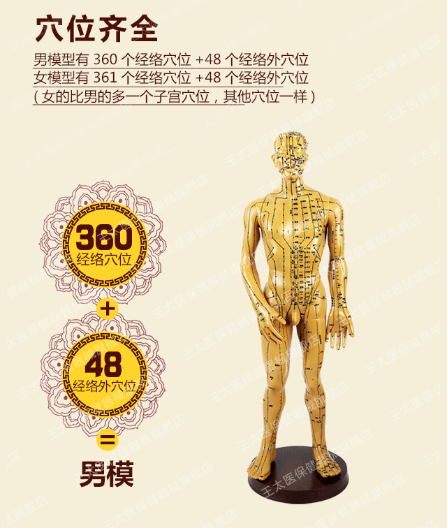 王太医 针灸铜人模型 男模女模中医人体经络穴位模型