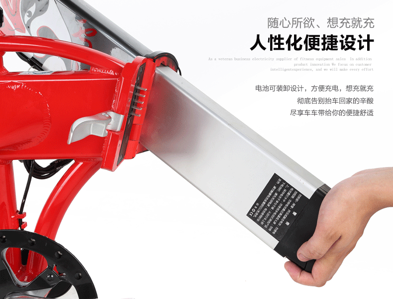 台铃新款电动车锂电池电动自行车 电单车助力车 智能折叠车小雄鹰4g图片