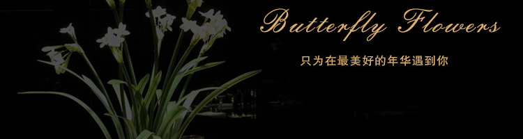 帝帛灯饰 欧式LED水晶吊灯客厅灯现代简约客厅水晶灯卧室灯灯具餐厅灯饰 DB8707LED贴片白光 600*320mm