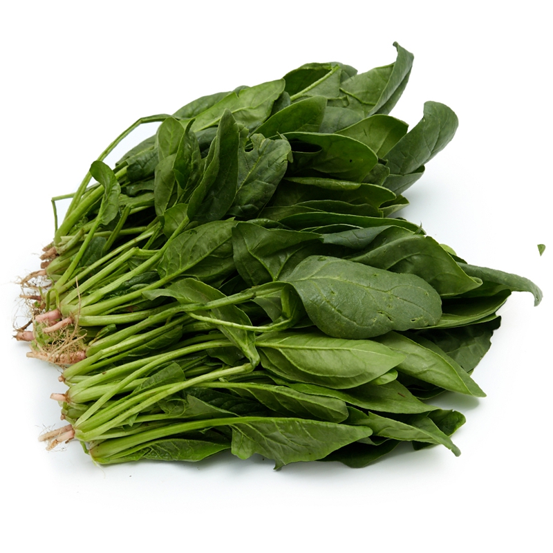 小汤山 菠菜 约280g 自营蔬菜