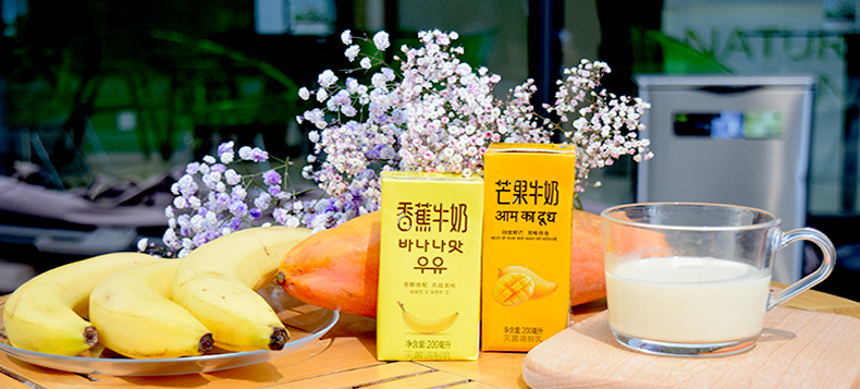 新希望(new hope) 韩国风味香蕉牛奶 芒果牛奶组合装