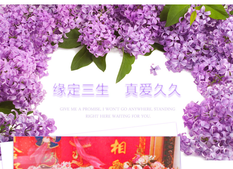 
                                        欧奈雅十字绣新款抱枕百年好合永结同心婚庆结婚喜庆单人枕头一对系列 百年好合 永结同心 粉色双人枕                
